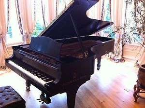 Steinway concert grand piano Model "D"