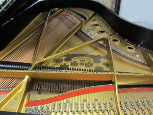 STEINWAY Grand Piano model B Art Victorian Vintage  Restored Renner Action