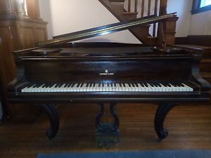 1904 Steinway Model A Louis XV Baby Grand Piano