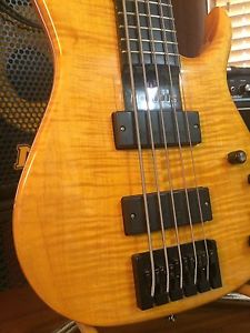 ONE OF A KIND MODULUS QUANTUM 5 SMOOTHEST PLAYIN' CARBON FIBER NECK EVER ! !