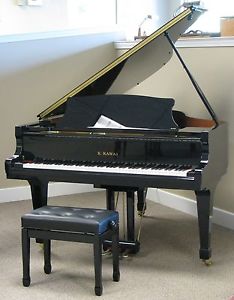 Kawai RX2 Grand Piano with Pianodisc iQ Intelligent Player System