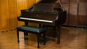 Steinway Model M Grand Piano - Free Delivery in Continental USA