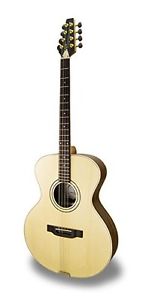 APC Instruments EABZK200 OVA Bouzouki Acustico