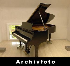 STEINWAY & SONS D-274 Konzertflügel - Hamburger Produktion