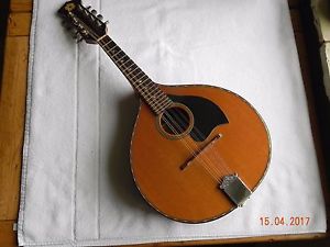 Wide Body Mandolin by Joe Foley, Dublin, with Mike Mullen case