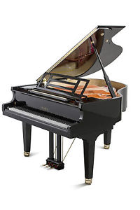 Feurich Flügel 162 Dynamic I mit Silencer NEU