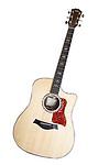 Taylor 800 810CE Acoustic or Ele
