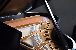 Steinway M 1999, Piano Disc IQ Player, WALK w/ Beethoven, experience the music