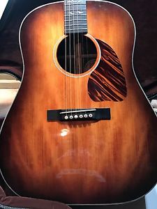 Leo Posch Advanced Jumbo Guitar Martin Strings