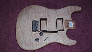 Warmoth Custom Shop Stratocaster, PRS USA Custom parts!