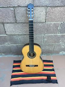 Flamenco guitar (negra)
