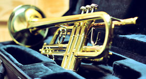 b&s challenger 3137 trumpet