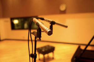 2 Schoeps M221b tube mics with 934c omni / cardioid capsules