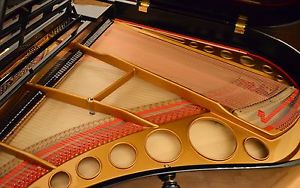 SELTENER STEINWAY & SONS DÖRSAM SCHÜLER (RENNER) Flügel Salonflügel Piano