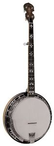 Gold Tone OB-250LW Light Weight Orange Blossom Banjo (Five String, Vintage