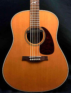 Zager EZ-Play Modified Seagull Mosaic Acoustic Electric Guitar