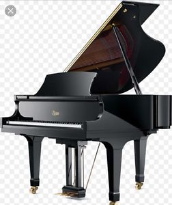 2005 Boston Baby Grand GP 163 5'4" Ebony High Gloss Beautiful $13,995.00 1 Owner