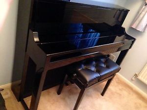 Roland's Digital Piano LX17