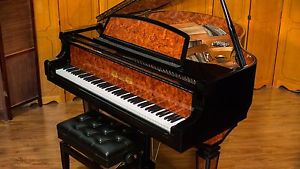 Perzina Designer Baby Grand Piano - Ebony Polish with Burled Walnut Inlays