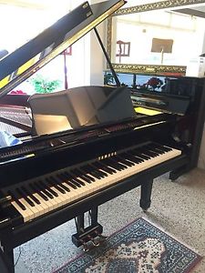 Aktion: Flügel Yamaha 186/C3-Silent occasion