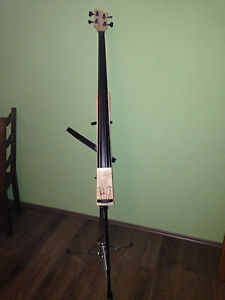 Electric Upright Bass Thomas Fichter