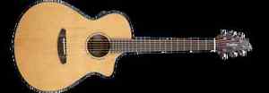 Breedlove Pursuit Concert