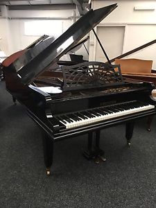 Bechstein Model B Grand Piano Stunning Original Piano 6ft7