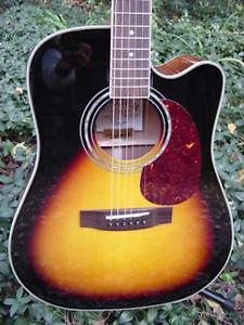 Zager Easy Play ZAD50CE Sunburst Acoustic Electric Guitar...rated in the top 2%!