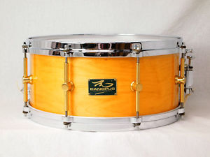 Canopus Snare Drum The Maple M-1465 14x6.5 USED