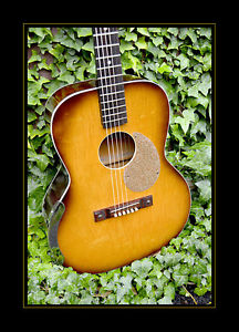 Vintage guitar acoustic electric Airline Supro pickup gibson martin gretsch str