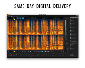 iZotope RX 6 Professional Complete Audio Repair | Pro Audio LA