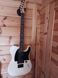 FENDER JIM ROOT Telecaster (Mexican)