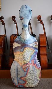 Cello Cellokasten Celloetui Cellokoffer  