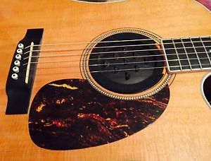 Martin DC16RGTE Aura Acoustic/Electric Guitar