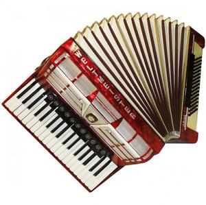 Perfect Weltmeister Amigo, 96 Bass, 16 Registers, German Keyboard Accordion, 708