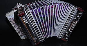 Steirische Harmonika , Hessmühler, durchsichtiges Gehäuse, B-Es-As