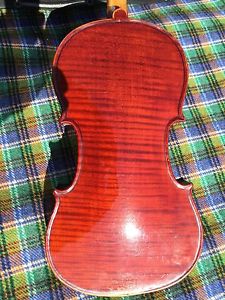 Violin Violon Geige Nicolas Duchêne