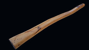 B Termiten Eukalyptus Didgeridoo
