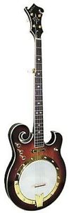 Gold Tone EBM-5 Electric Banjo Five String, vintage finish bluegrass