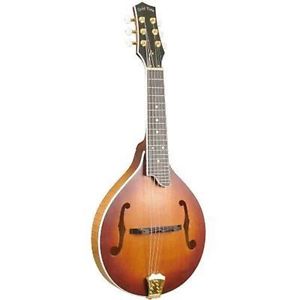 Gold Tone GM-6+ 6-String Guitar Mandolin with Pickup