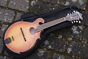 NEU Breedlove Sunburst F-Style Folk Irish OldTime Mandoline vollmassiv Tasche