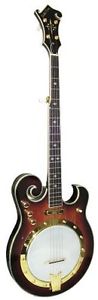 Gold Tone EBM-5 Electric Banjo (Five String, Tobacco Sunburst)