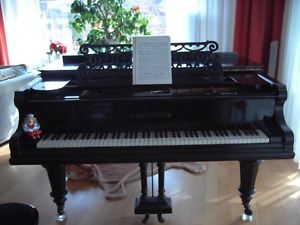 C Bechstein Flügel 220 cm 1904