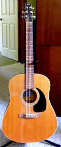 Zager EZ-Play Modified Seagull S6 Acoustic Electric Guitar