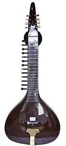 Indian Slide Guitar with Fiber-Case Hansa Veena