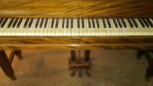 Lauter Baby Grand Piano Tigers Eye