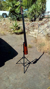 NS Design Nxt4 4string Electric 