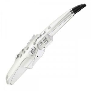 New Roland Aerophone AE-10 Wind Synthesizer from Japan F/S