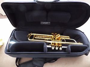 2016 gold-plated Thein Bb MH One trumpet with leather case and 4 leadpipes.