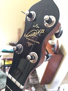 Ludwig Wendell Hall Professional Ukelele Banjo